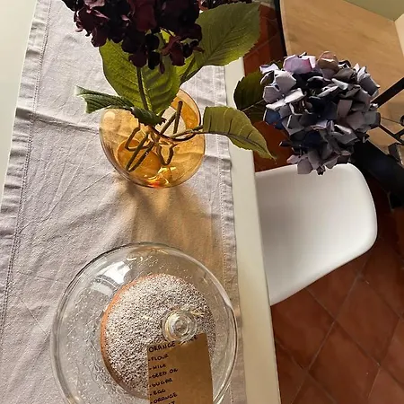 Domus Conte Federico